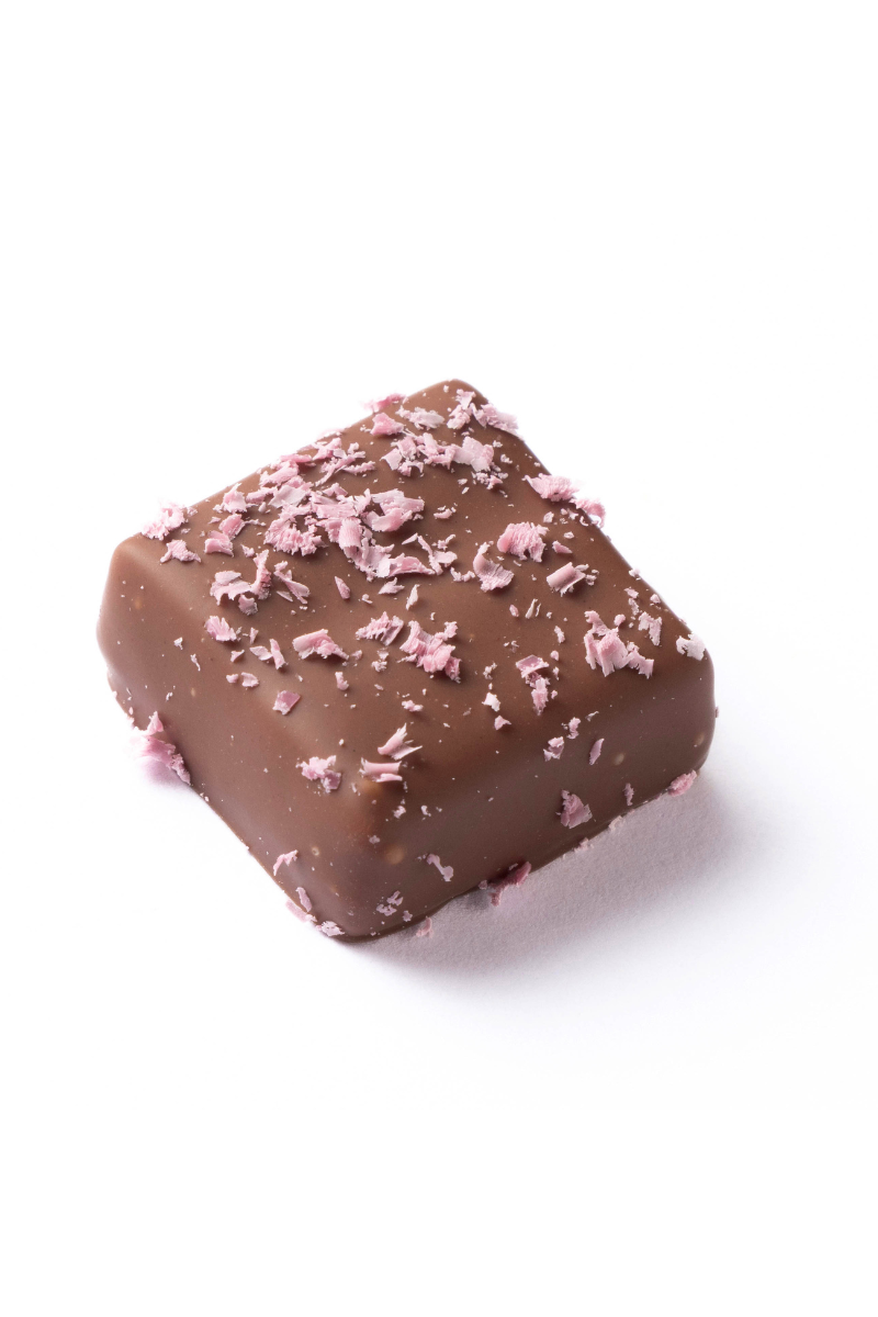 Bonbon hibiscus Bonbon hibiscus